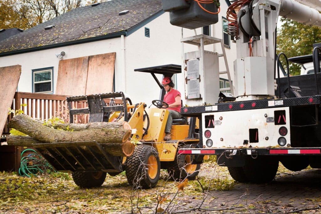 Emergency Tree Service Austin