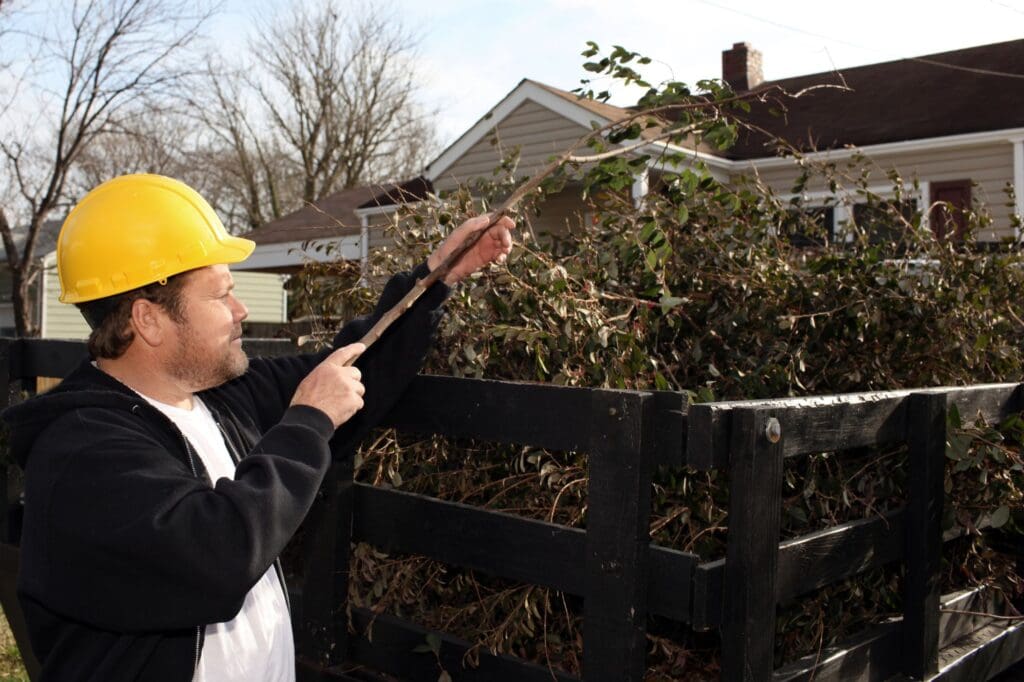 Emergency Tree Service Austin