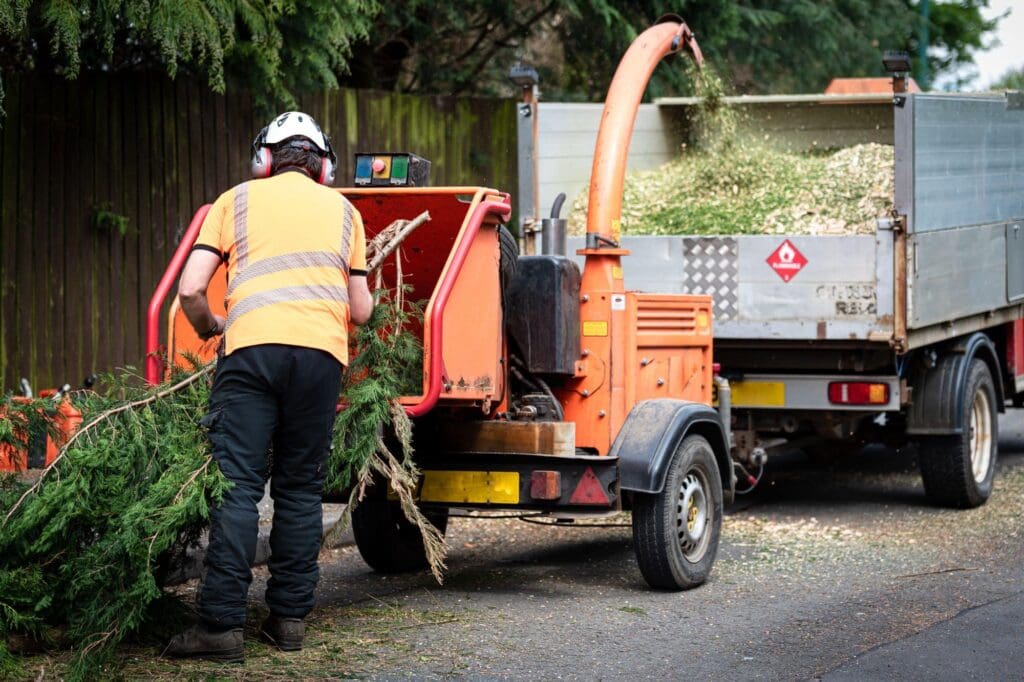 Emergency Tree Service Austin