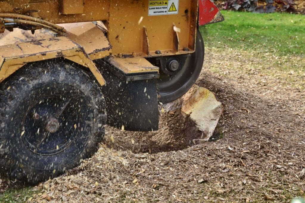 Stump Removal Austin