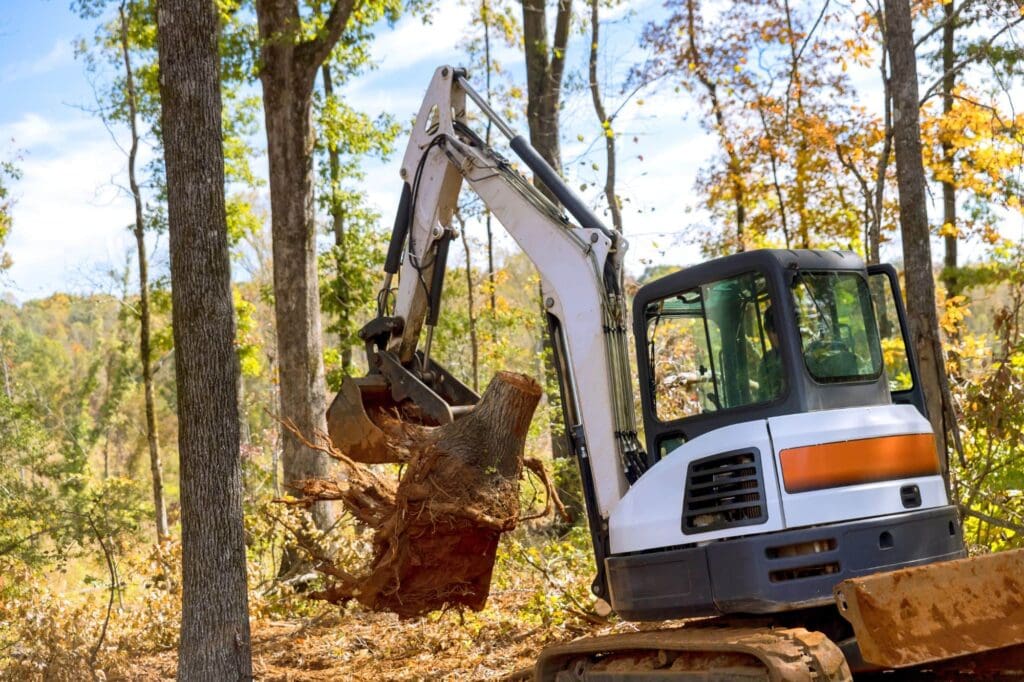 Stump Removal Austin