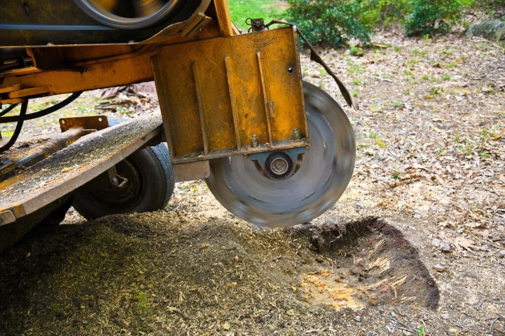 Stump Removal Austin