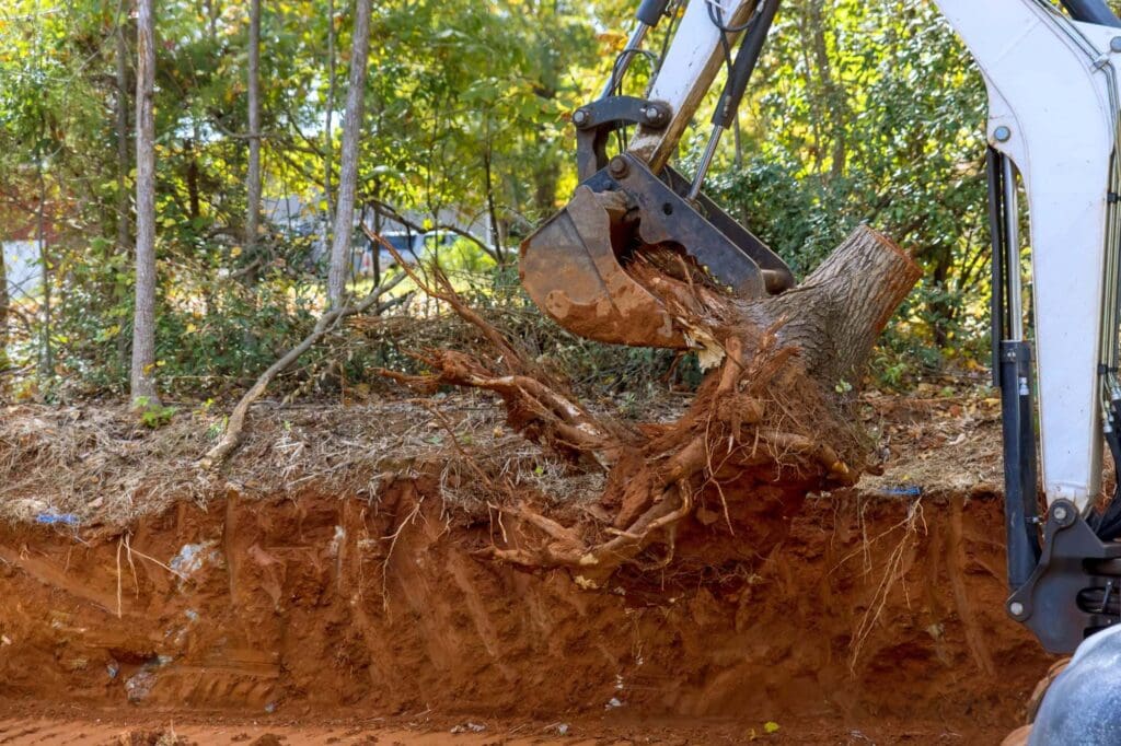 Stump Removal Austin