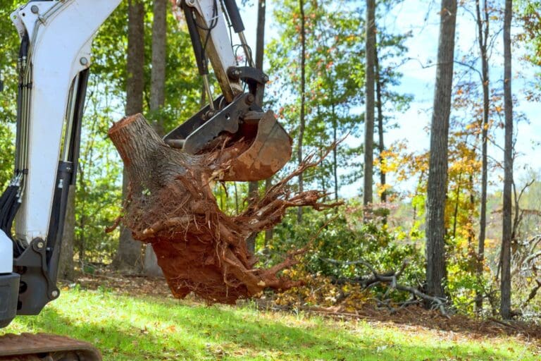 Residential & Commercial Stump Removal