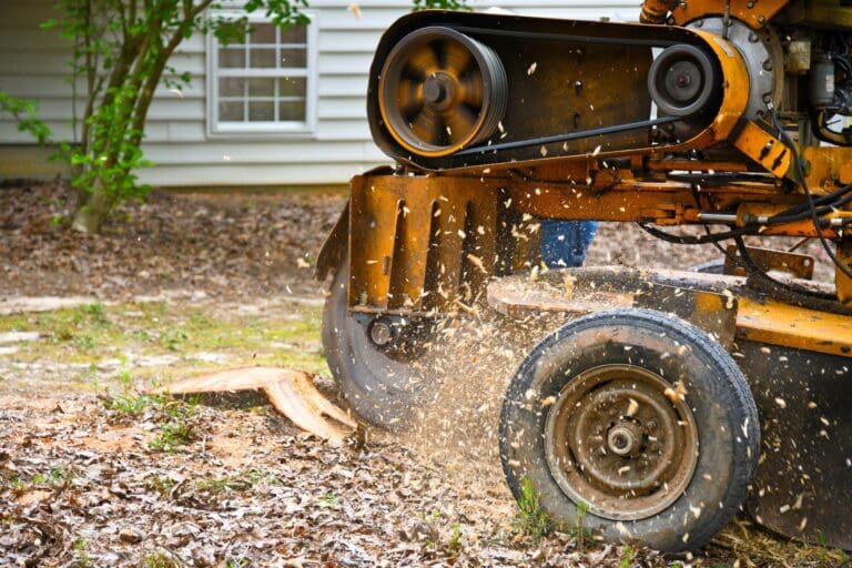 Stump Grinding