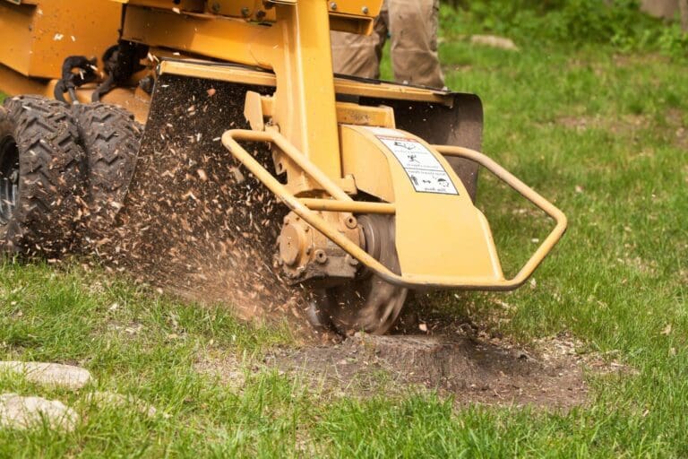 Stump Removal Austin